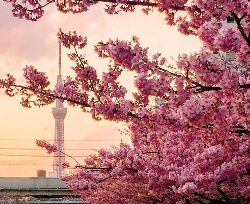 5Mins From Jr Kinshicho! Near Asakusa&Skytree! โตเกียว ภายนอก รูปภาพ